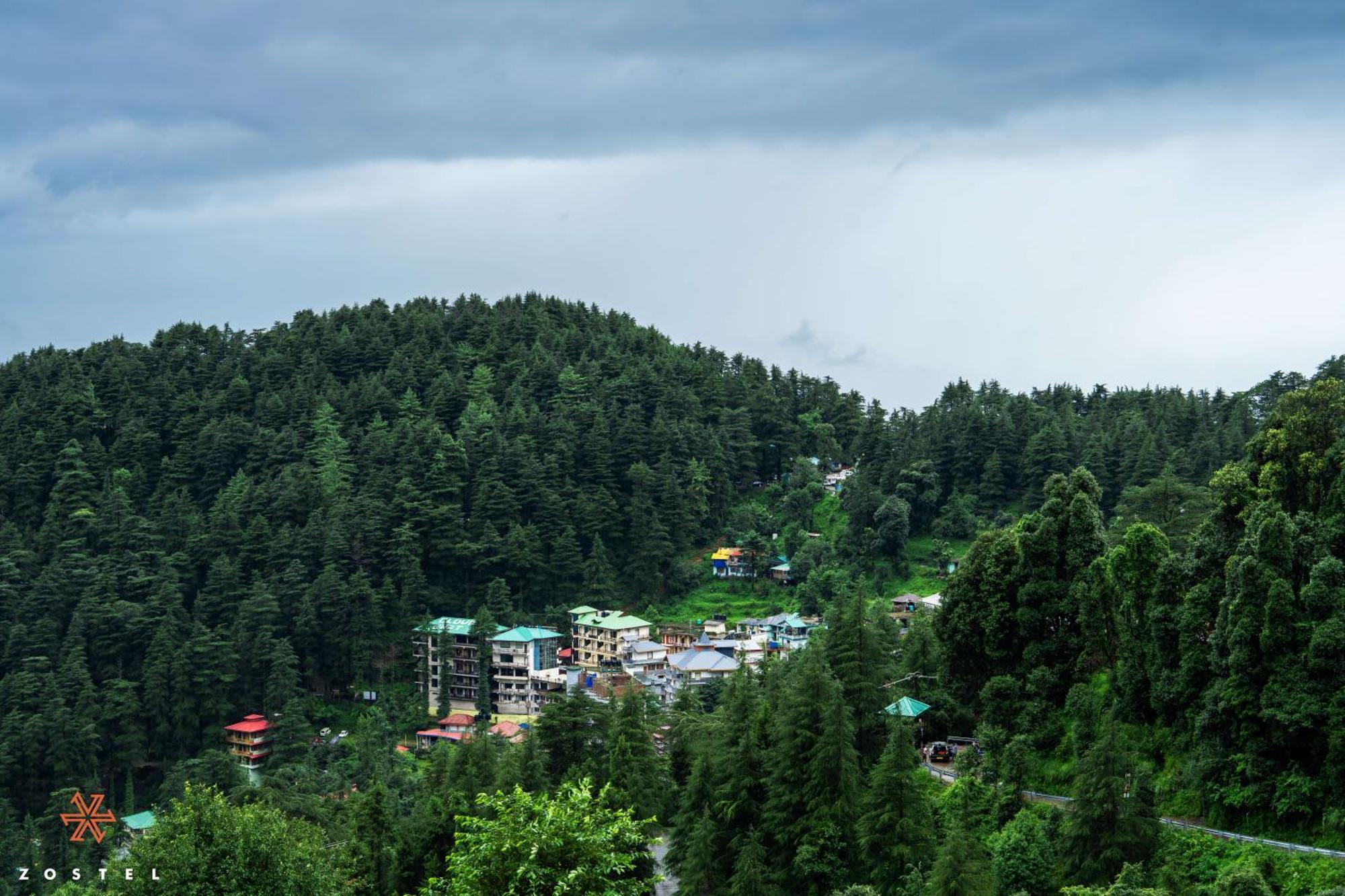 Zostel Dharamkot Hostel McLeod Ganj Buitenkant foto